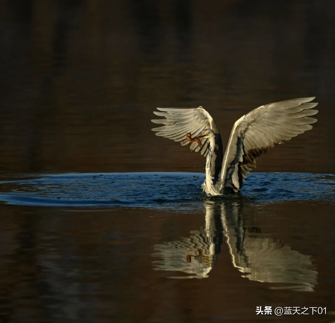别人经常用你手机拍照怎么办,如果有人对你拍照怎么办