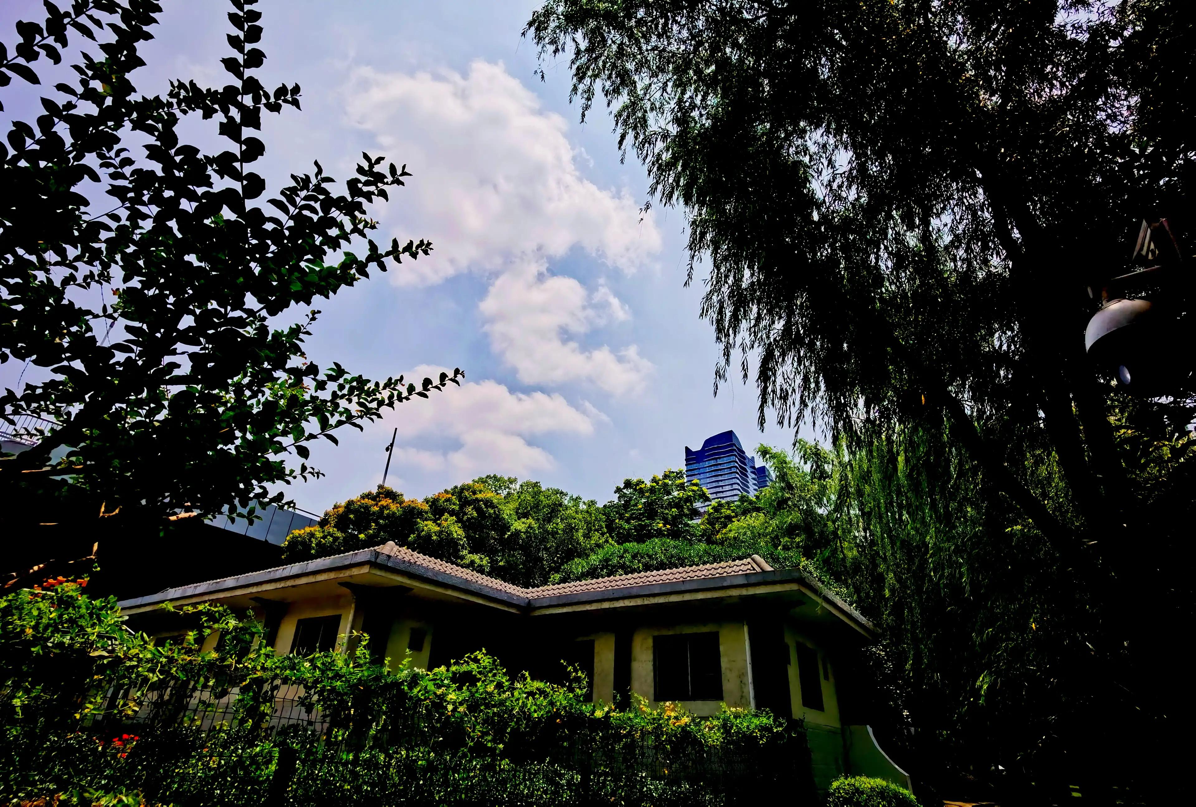 武汉四美塘公园开园了吗,四美塘公园和武昌生态文化长廊