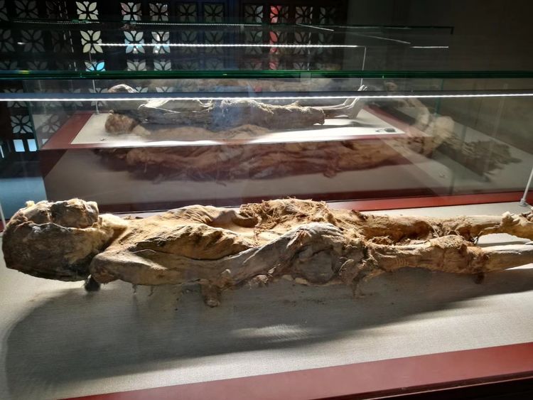 楼兰美女古尸在哪出土的,楼兰美女古尸距今有多少年