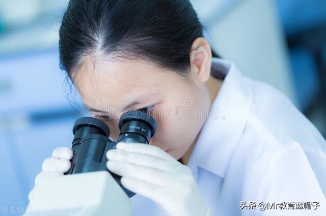 杭州电子科技大学2024就业,杭州电子信息工程专业就业前景