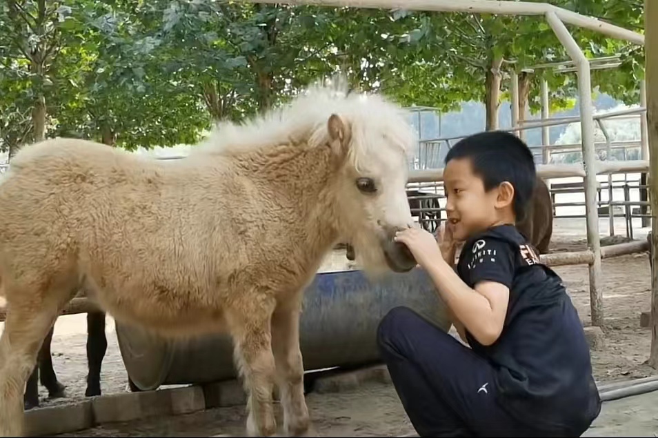于谦和他的师傅同台谈论郭德纲,于谦假笑男孩