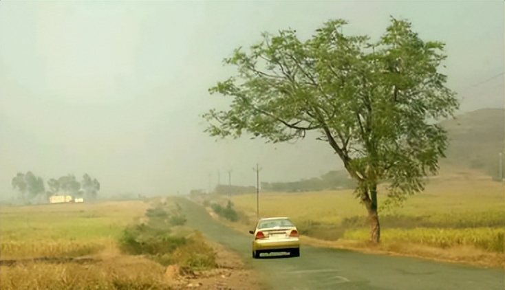 调音师电影艺术表现手法,印度电影调音师叙事分析