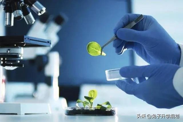 生化环材四大天坑将成为香饽饽,生化环材迎来了真正的崛起