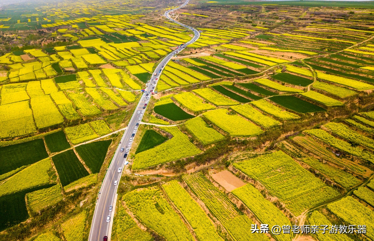西安油菜花花海,西安看油菜花的地方都有哪些景点