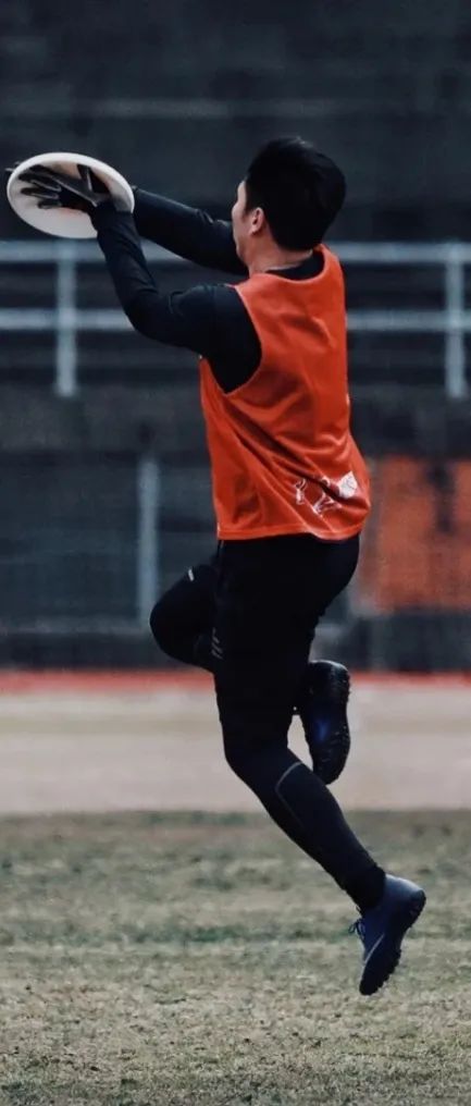 上海玩宠物,上海玩狗户外