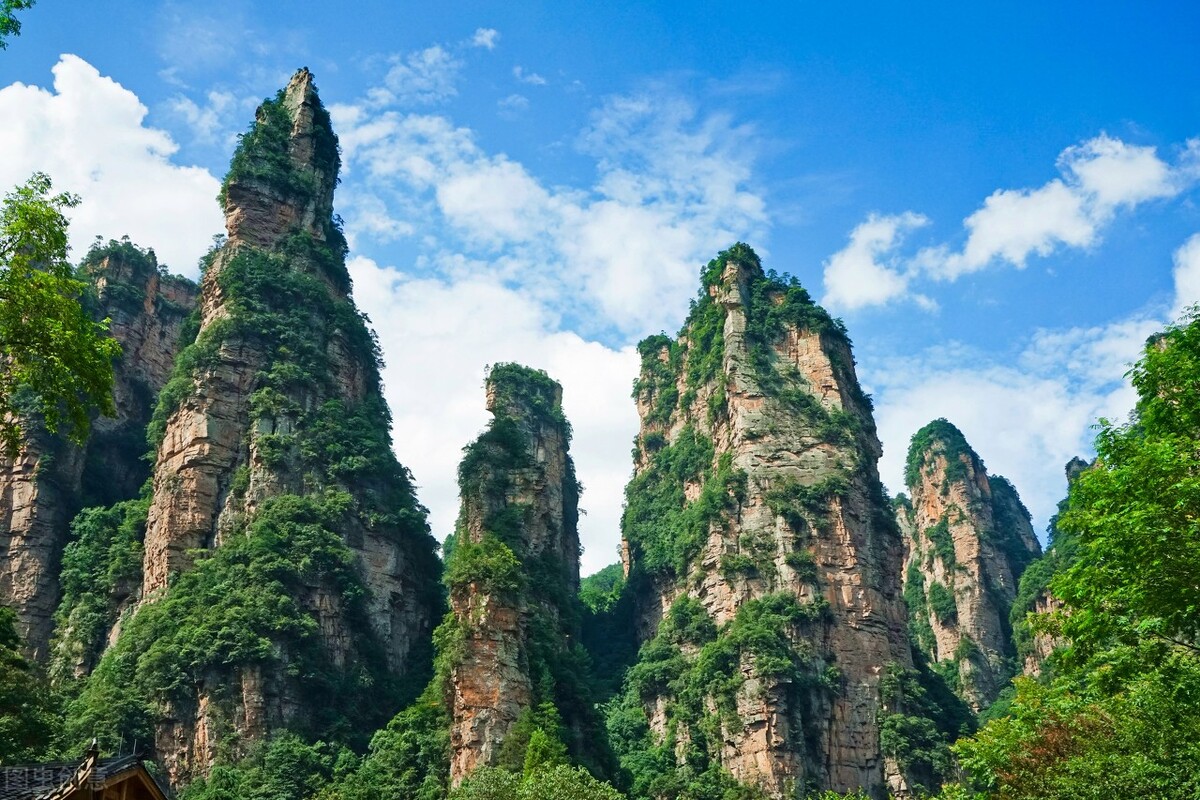 张家界自由行几天能玩完,张家界自由行旅游费用大概多少