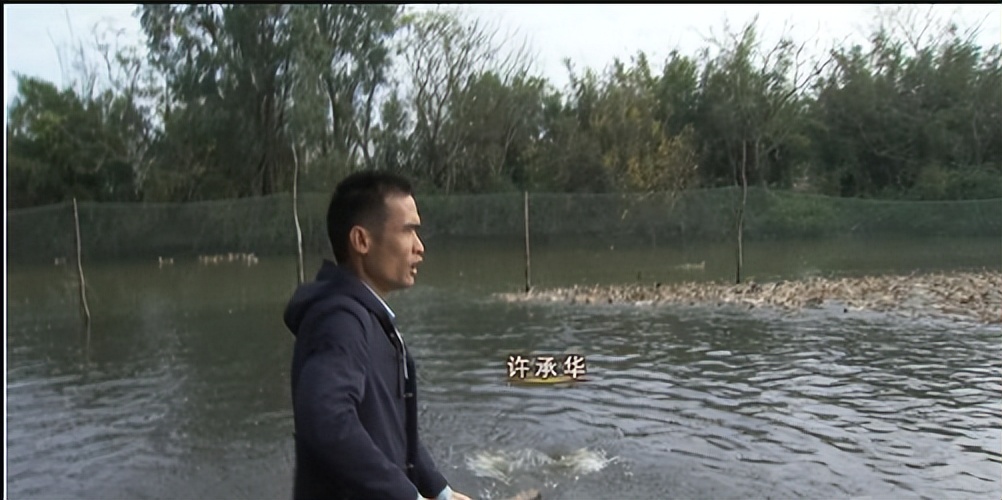 养鸭专业户一年赚多少钱,养鸭1000只蛋鸭利润和成本高吗