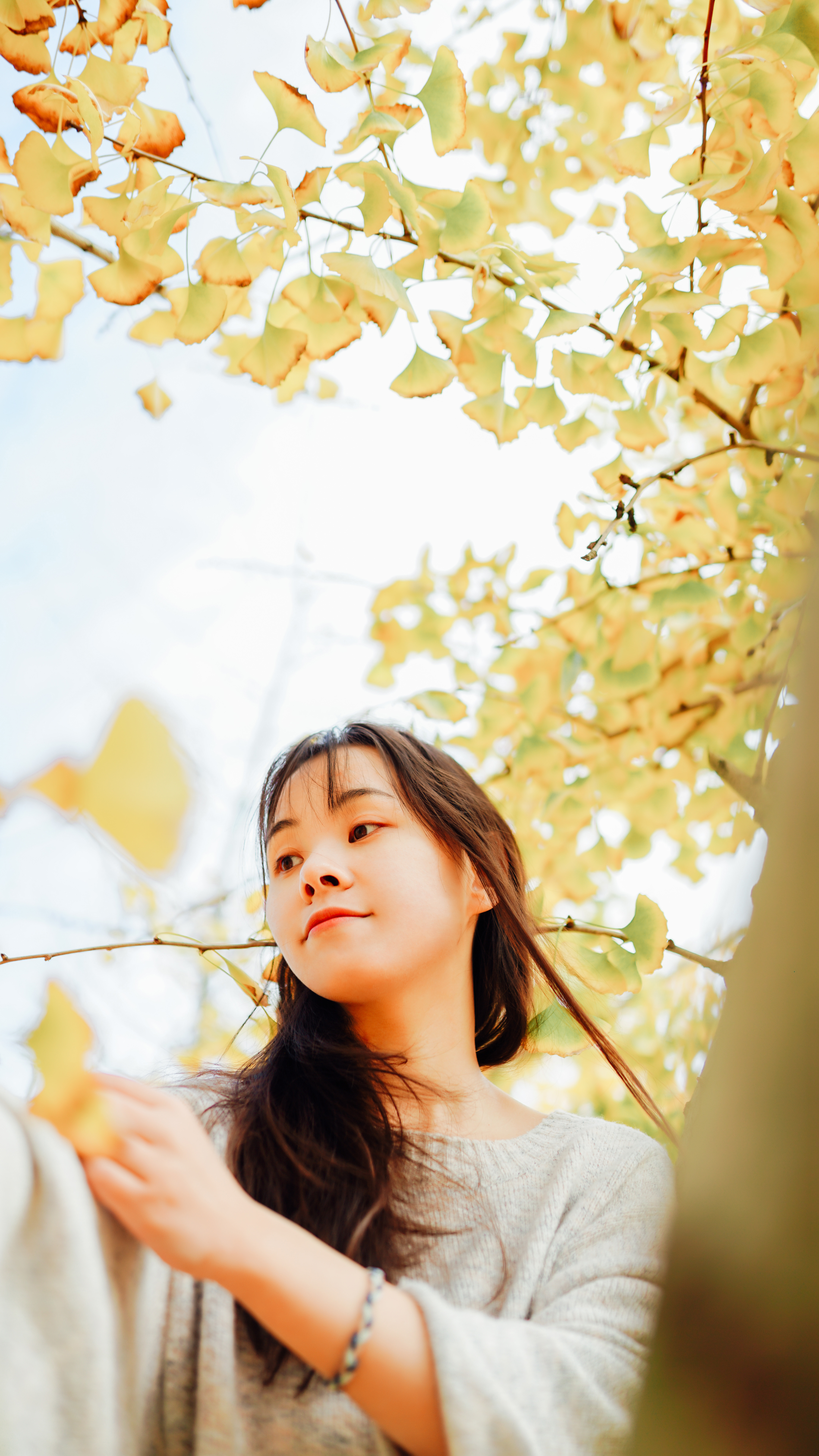 摄影苏州银杏树,苏州银杏拍照人像