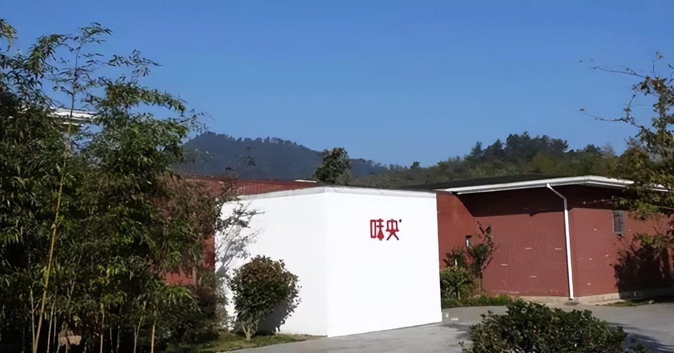 悲报！网易的养猪场，可能真要撑不住破产了！