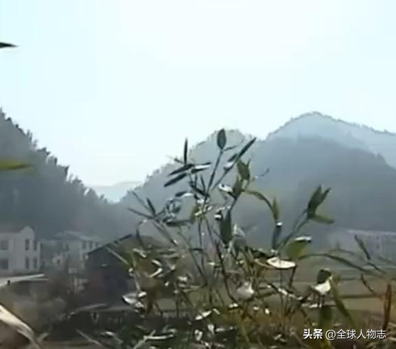 我，一个“双性人”，从小被当作“怪物”，如今成为女人获得新生