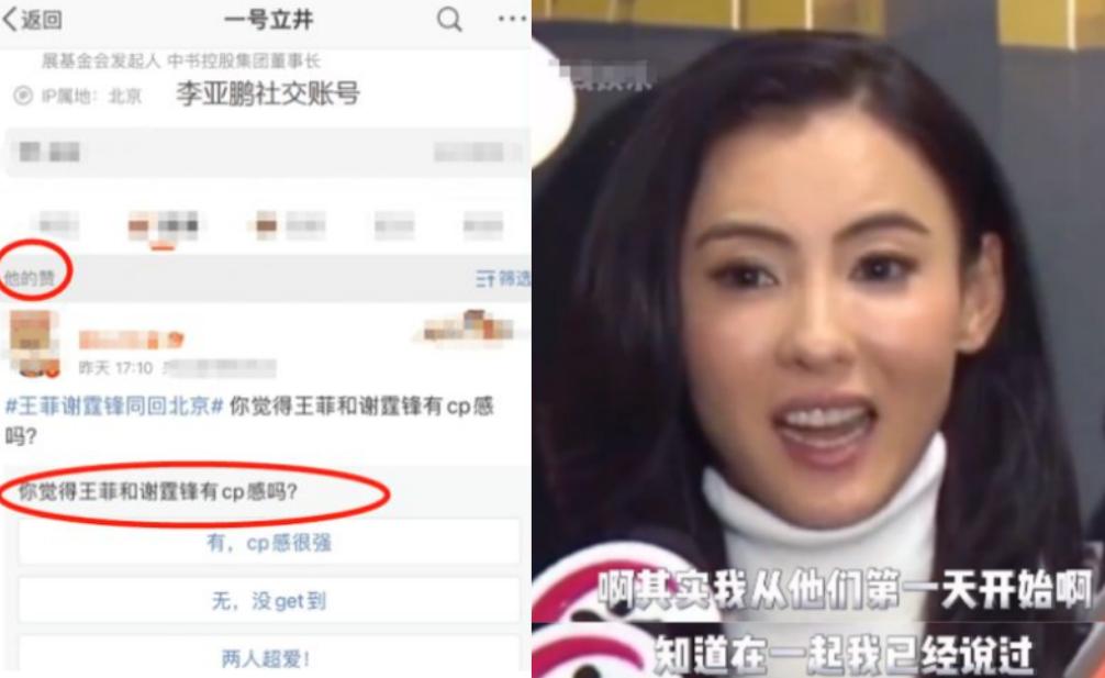 谢霆锋王菲情史回顾,谢霆锋王菲感情稳定