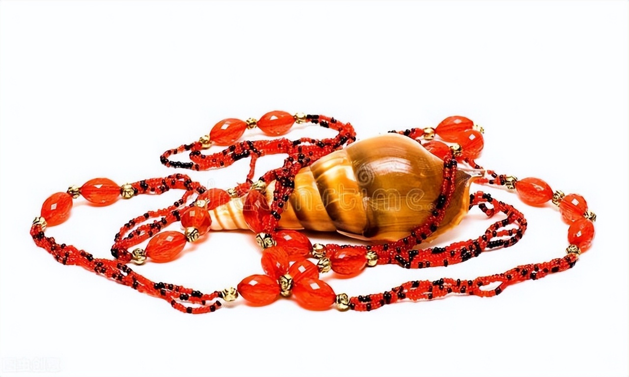 壳聚糖未来的发展趋势,壳聚糖发展前景