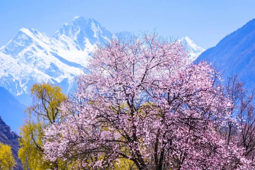 龙泉山看桃花徒步最佳路线,徒步穿越十里桃花漫山遍野