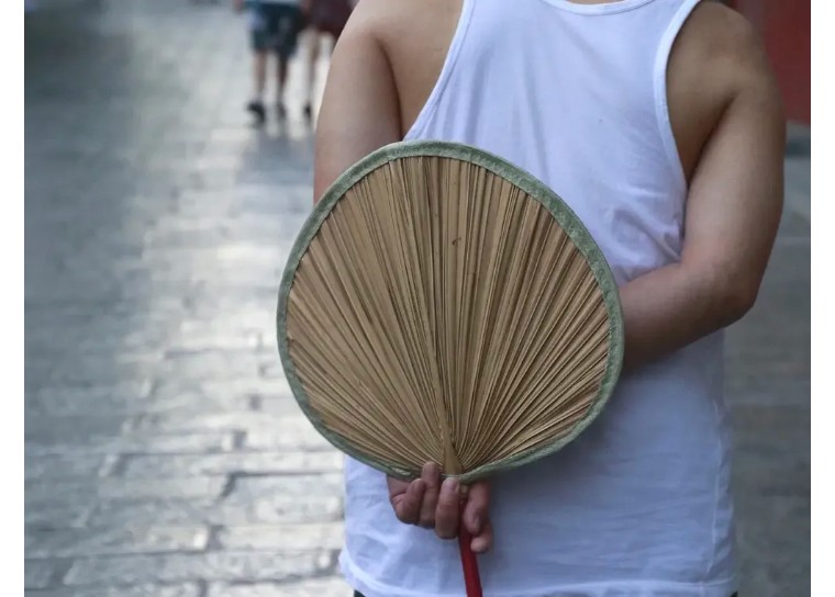 为何铁扇公主有芭蕉扇,铁扇公主为什么借芭蕉扇给悟空