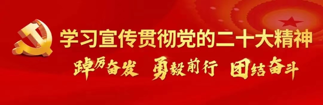 学习贯彻党的二十大精神党课公安,学习贯彻党的二十大精神公安