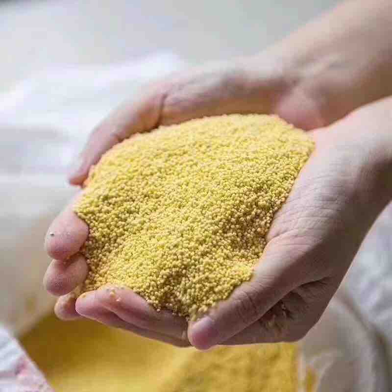 山东济南南山千亩金小米喜获丰收,百亩富硒小米喜获丰收