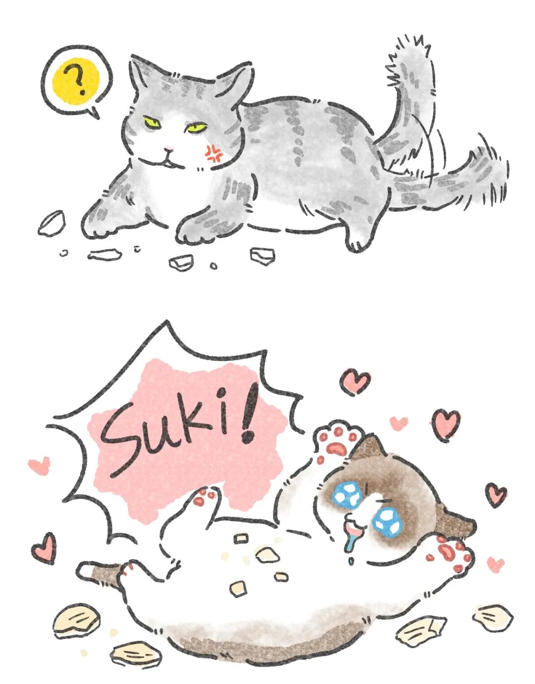 养猫忠告尽量少买华而不实的东西,养猫容易被忽悠买的东西