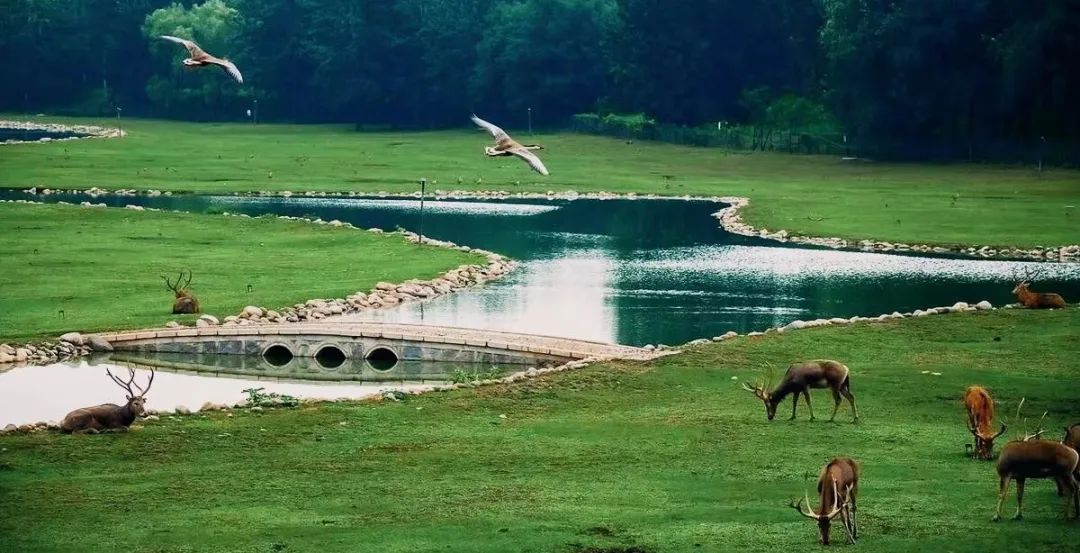 北京必打卡亲子博物馆,北京必打卡的历史建筑