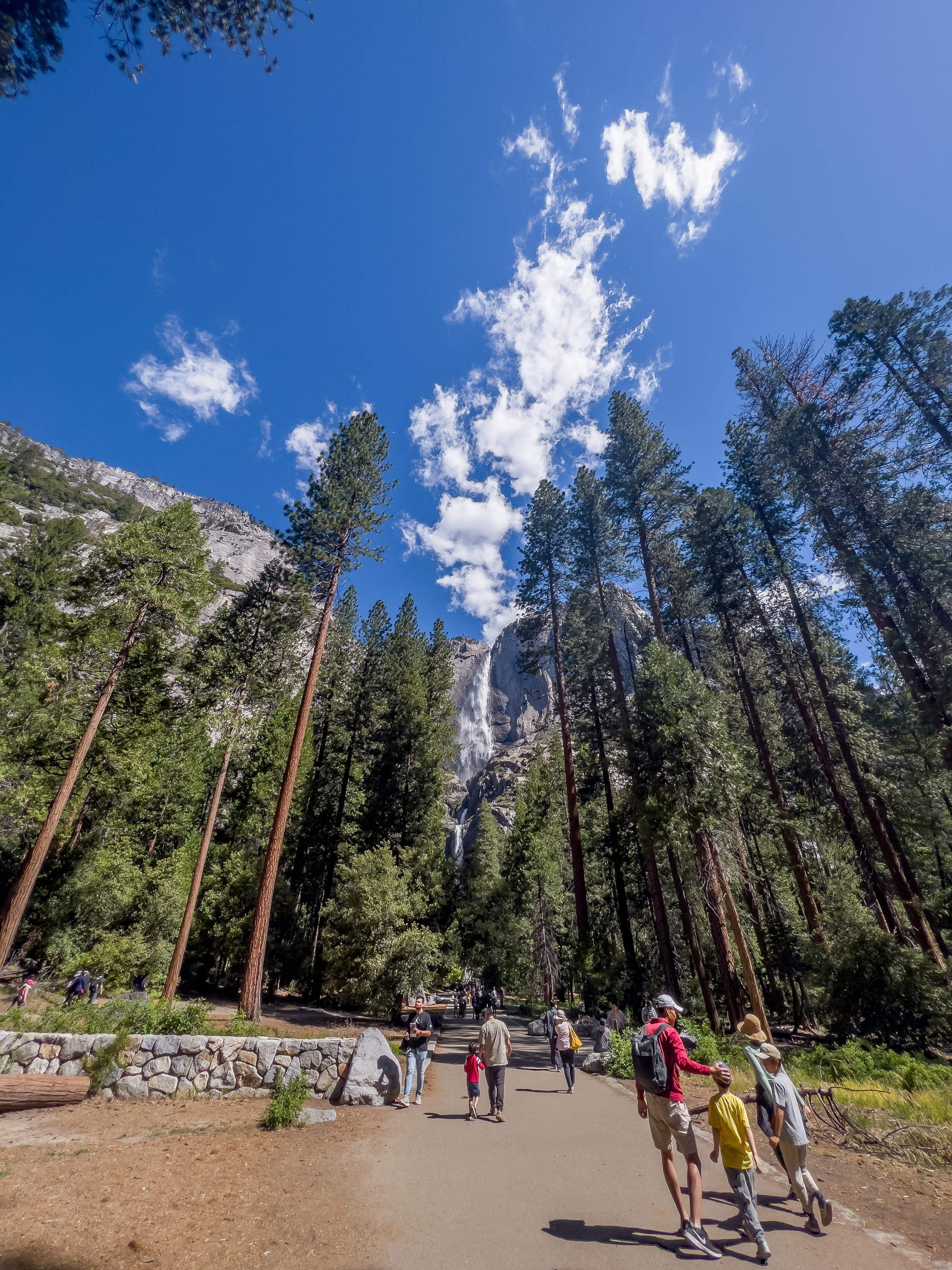 加州优胜美地景点推荐,美国优胜美地旅游