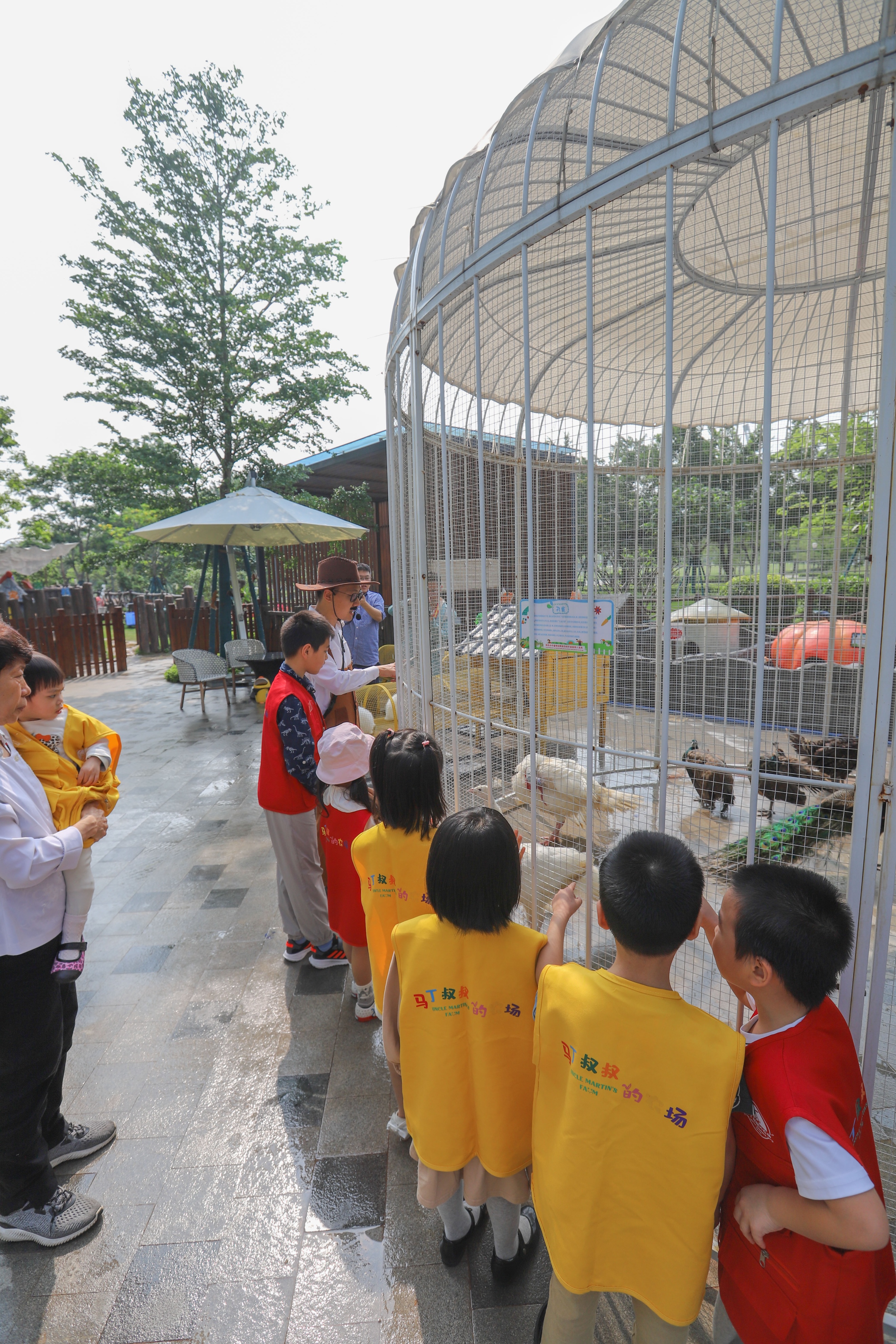 寻觅不一样的周末亲子时光打卡地,马丁叔叔的农场套餐