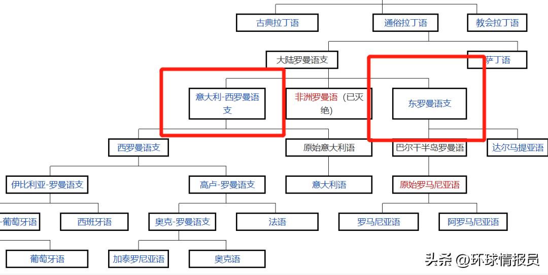 法国人的精神象征,为什么法国人自称高卢雄鸡