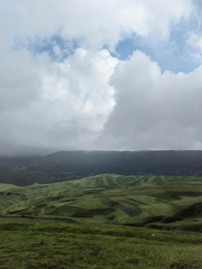 灏忓ぉ灞遍夯鐢板箔鏅尯鍦ㄥ摢,楹荤敯宀皬澶╁北鐢ㄩ绾﹀悧