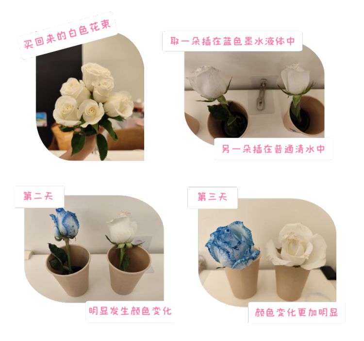 自己动手的diy礼物,闺蜜一看就喜欢的手工diy礼物