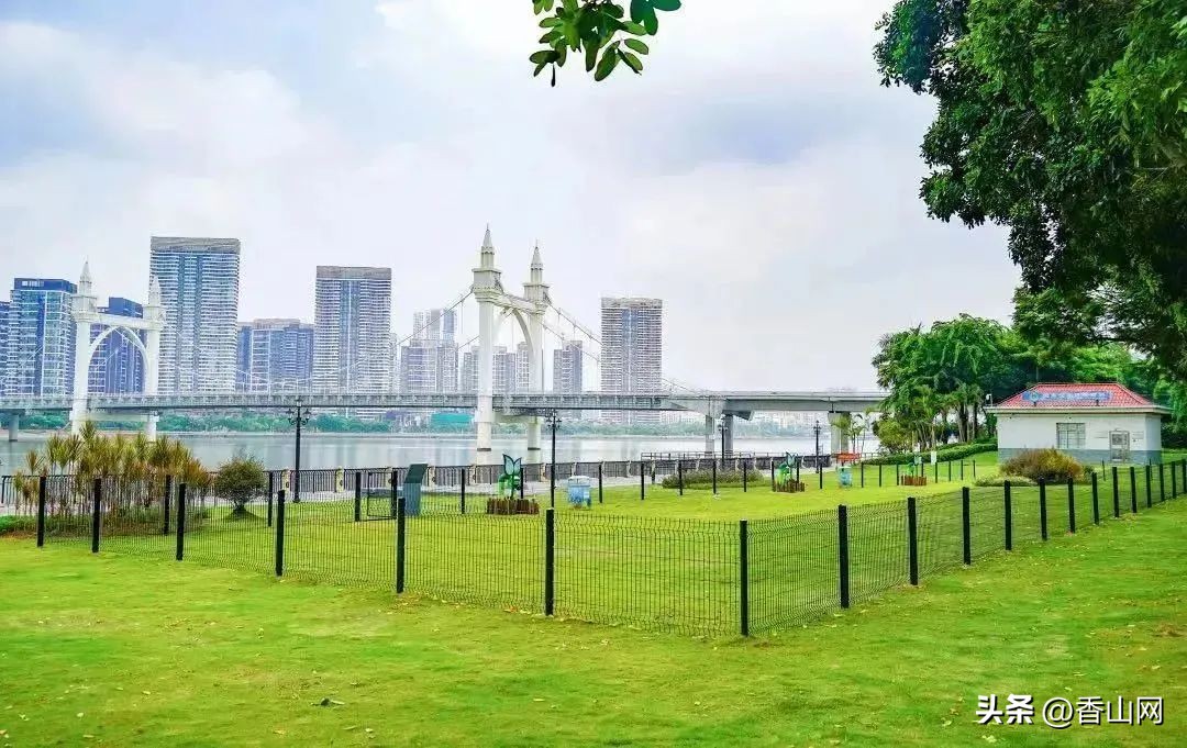 珠海宠物可以去的公园,珠海香山湖公园让遛狗吗