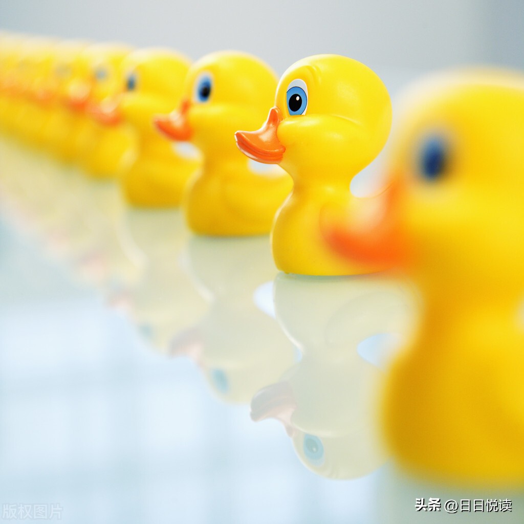 容易写错的成语一览表,容易读错写错和用错的成语