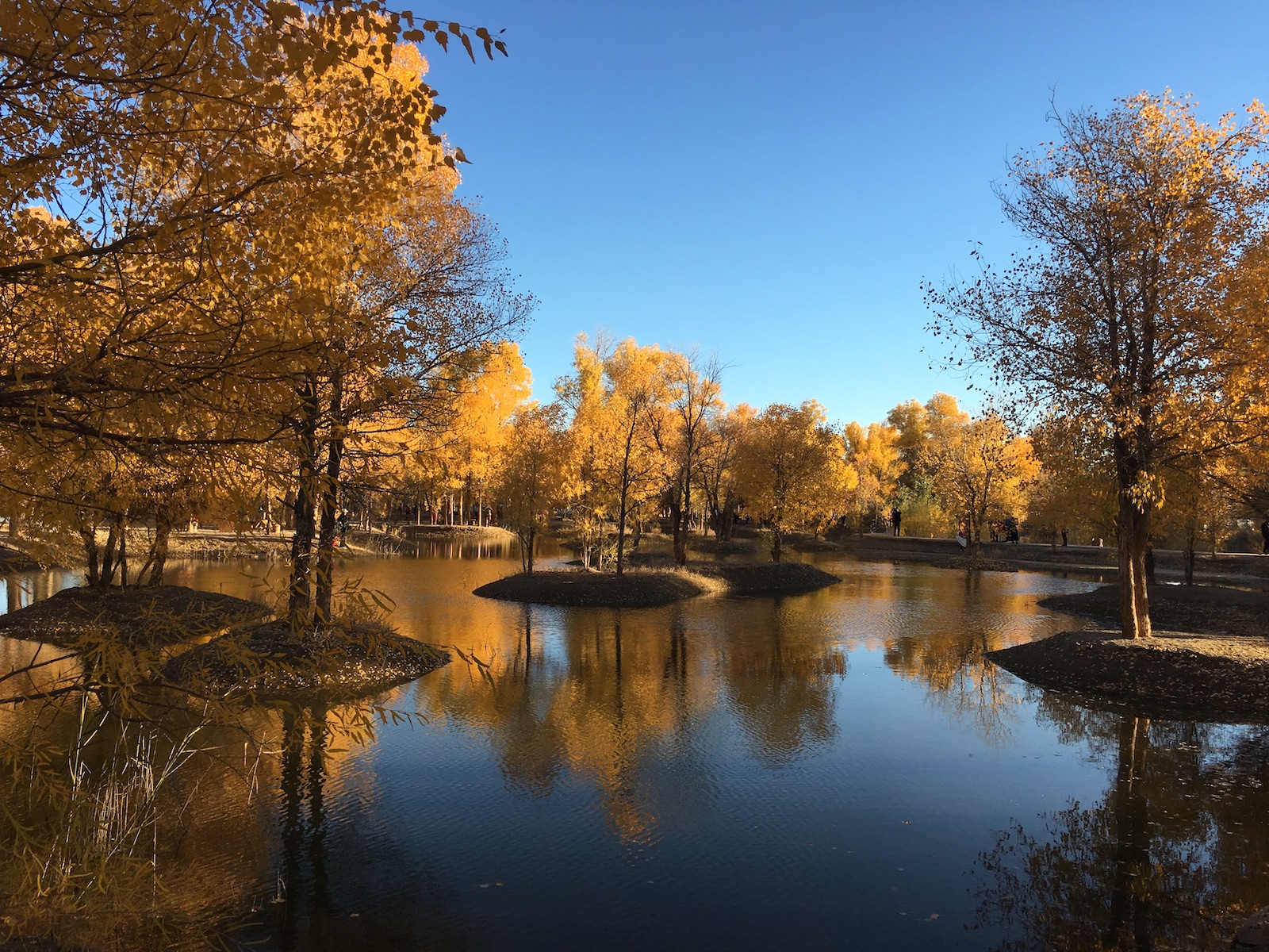 北京自驾额济纳胡杨林十天攻略,从北京到额济纳胡杨林线路