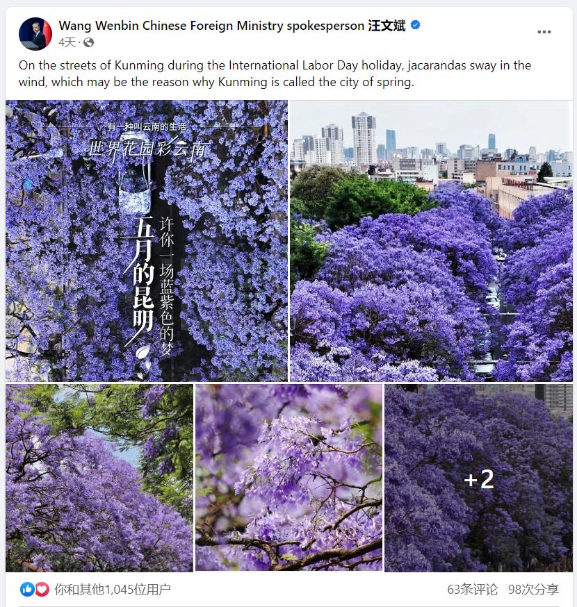 芸儿美美美美美,美美美美美美美英文