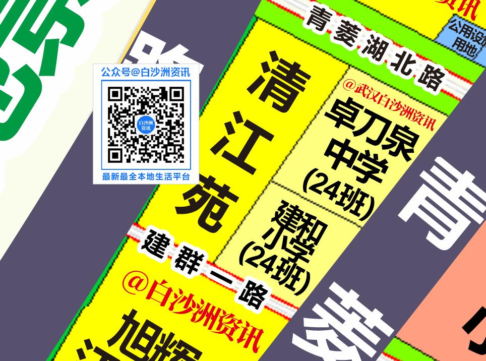 白沙洲青菱小学对口的初中,白沙洲旭辉都会山对口学校