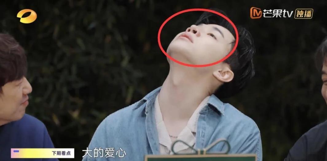 向往7刘宪华第几期,刘宪华向往的生活7什么时候播出