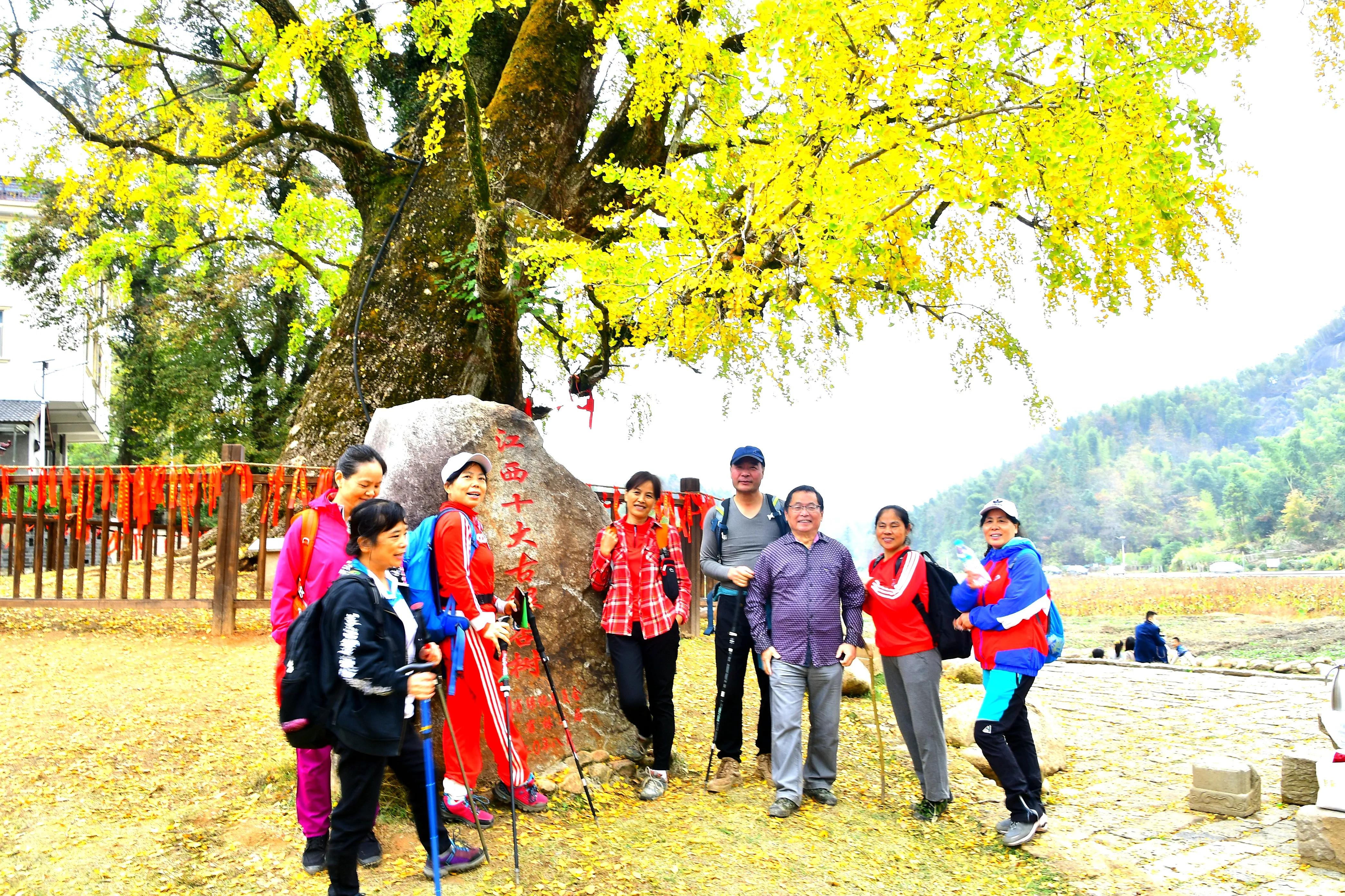 开开心心又一年——2022年开心群活动回顾