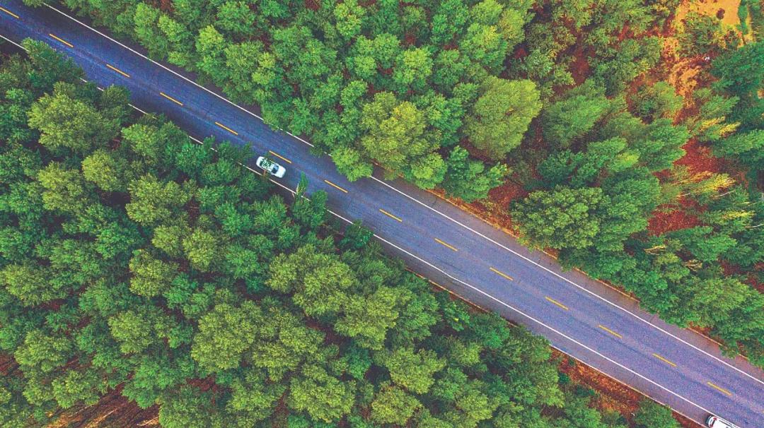 武威一座旅游名城,武威一座历史悠久的人文之都