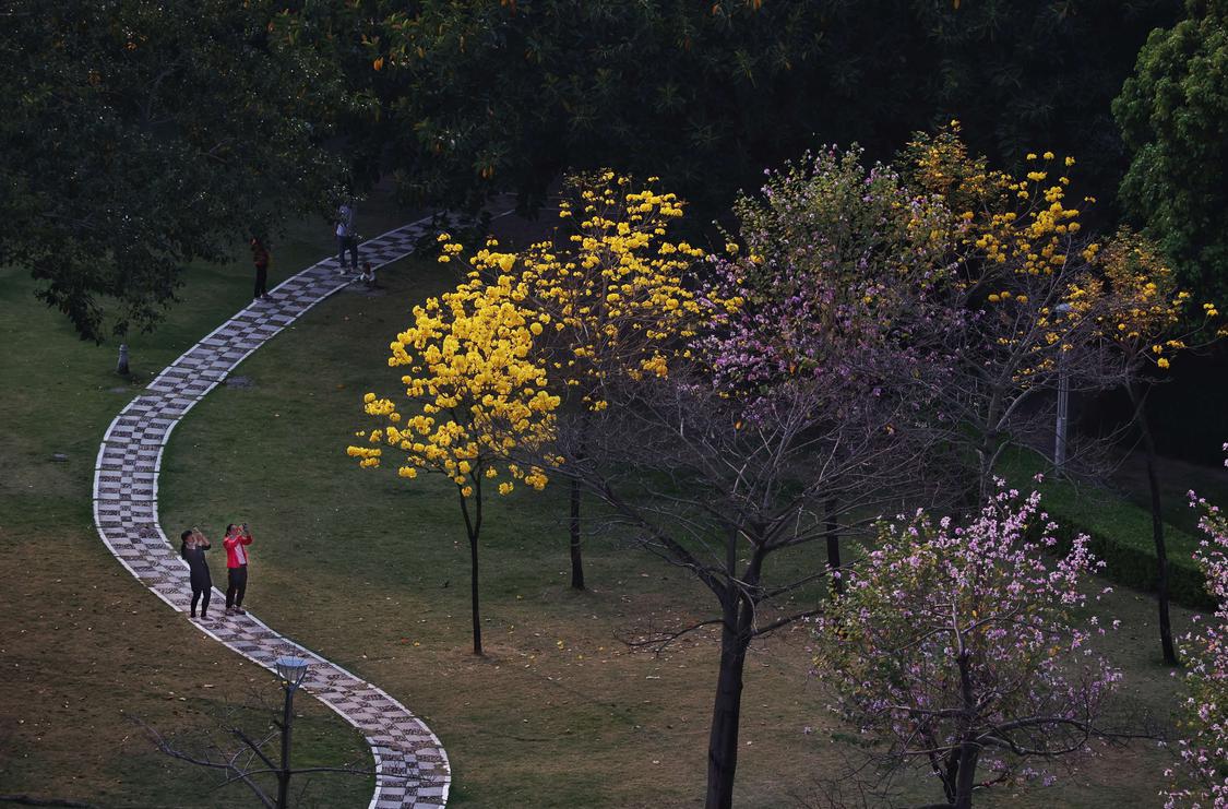 他用镜头记录旅行,他用镜头记录下了一路以来的成长