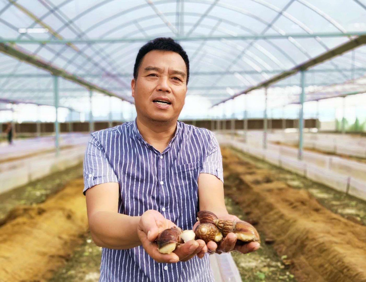 蜗牛可以做花肥吗,蜗牛做美容产品