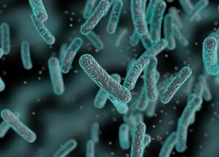 6种通过“性传播”的疾病，你知道几种？私生活别太大意