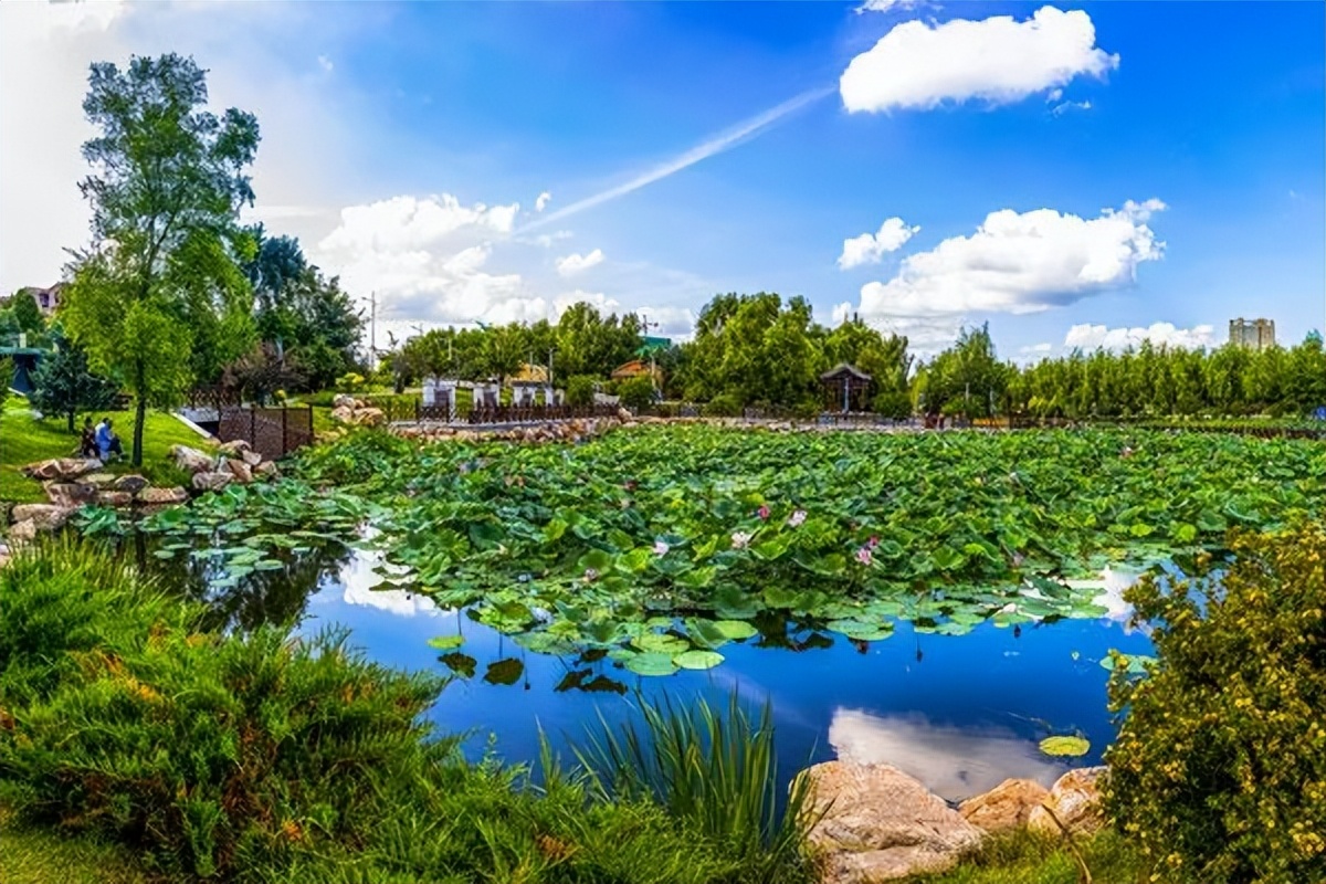 「今日作家」李延平‖平凡中的日子（散文）