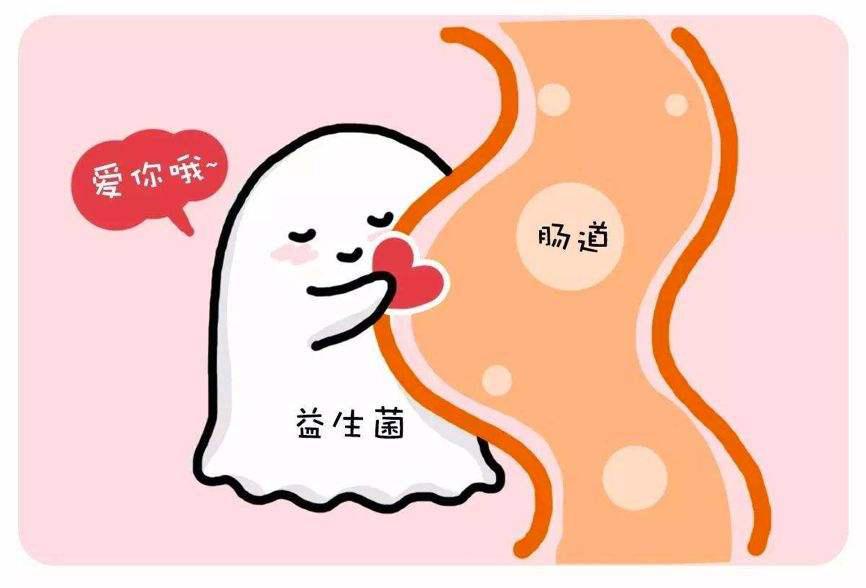 多美滋儿童奶粉怎样,多美滋婴儿配方羊奶粉怎么样