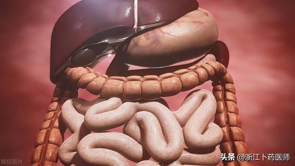 大脑和肠道之间的神经系统,肠道的自主神经系统受大脑调控