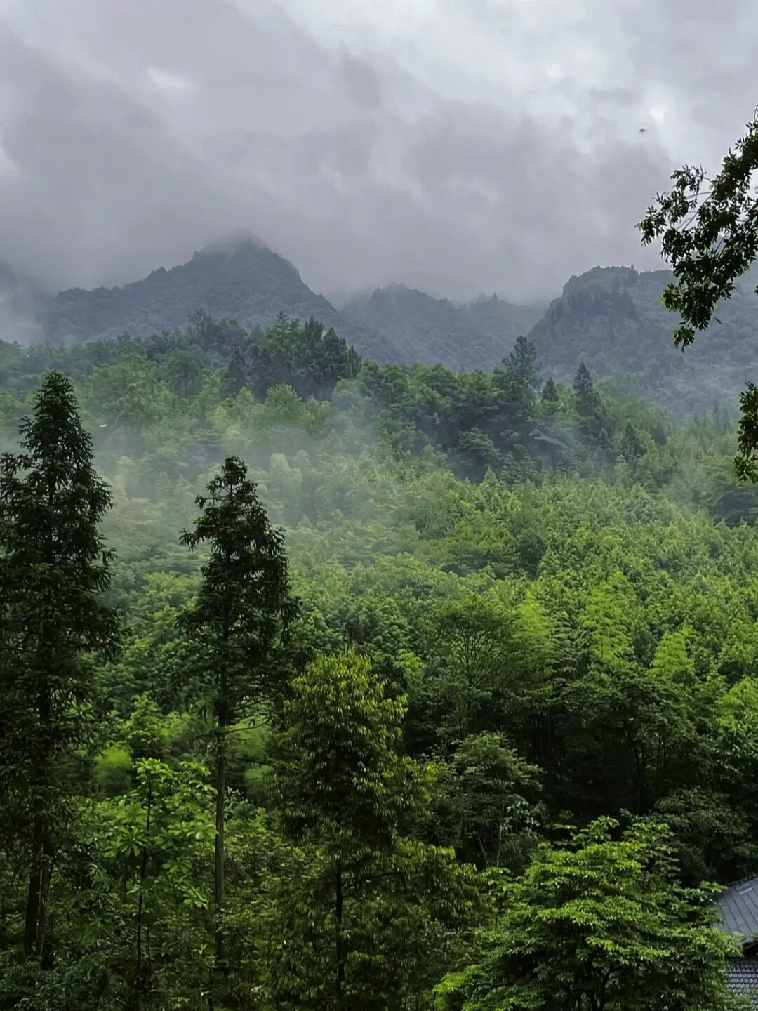 避暑旅游景点看山看水,清凉避暑好去处雪溪洞一日游