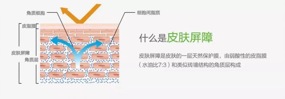 脸上起皮了是怎么回事,脸上起皮是什么原因怎么办