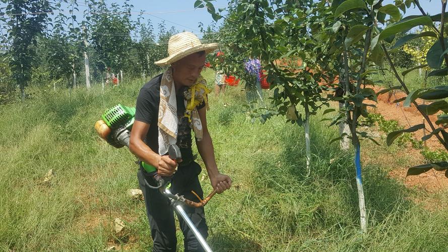 年轻人肩膀痛的治疗方法,整天肩膀酸痛怎么检查病因