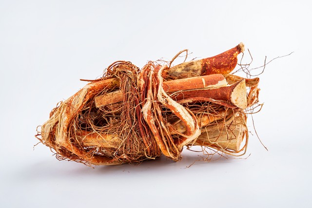 五指毛桃祛湿止咳嗽,五指毛桃健脾祛湿热化痰