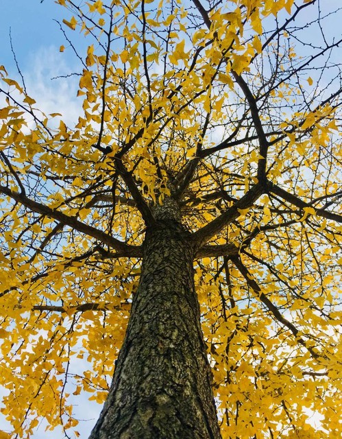 微信怎么退出群聊,微信怎么批量退出群聊