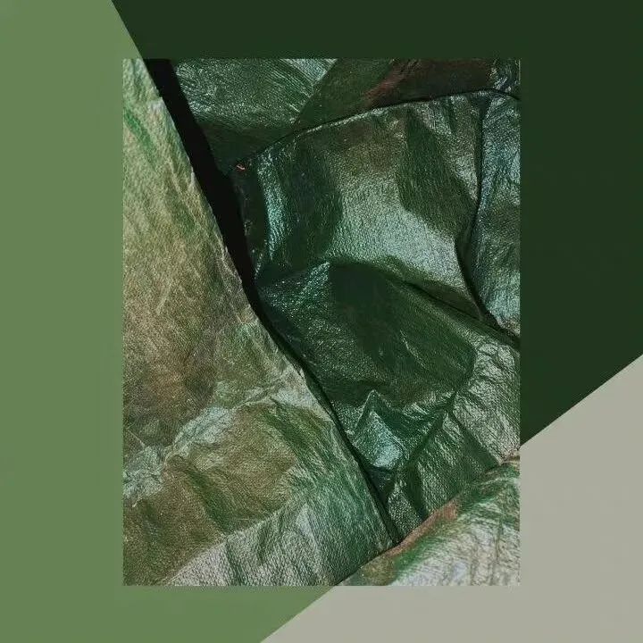 绿色背景图ins高级感小图,干净的背景图ins风冬日高清