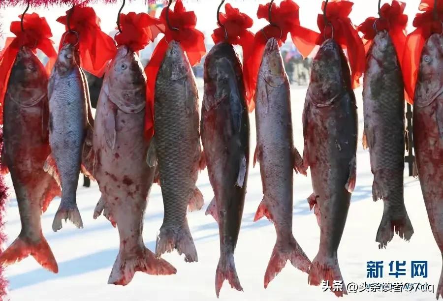 查干湖在什么地方属于哪个省,查干湖冬捕