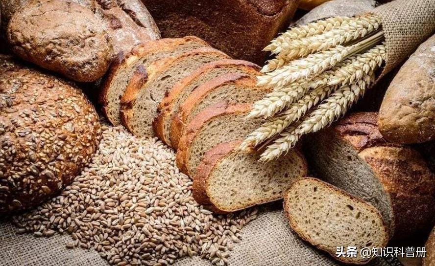 20种食物可以降低患癌症的风险