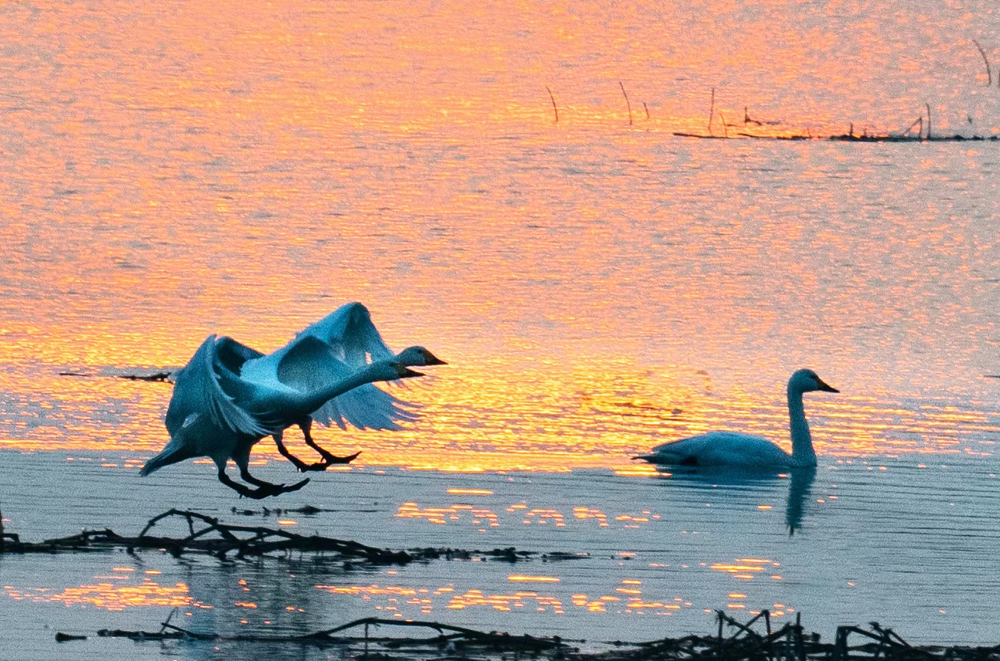 合肥周边3-5天短途自驾游推荐,合肥适合自驾游的地方推荐